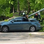 Milzīgs koks nogāžas Rīgas centrā pie Viesturdārza – sadragāts auto, satiksme bloķēta
