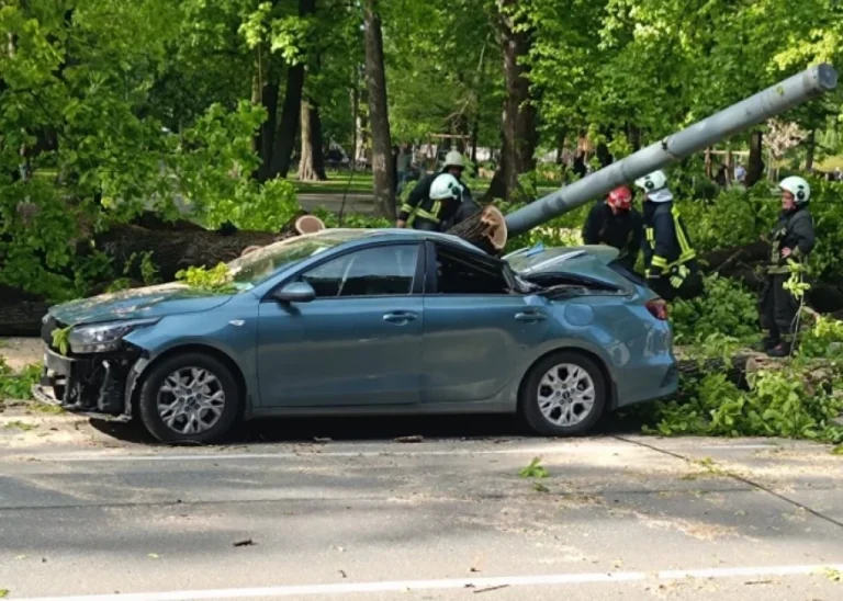 Milzīgs koks nogāžas Rīgas centrā pie Viesturdārza – sadragāts auto, satiksme bloķēta